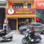 Gà tươi manh hoạch